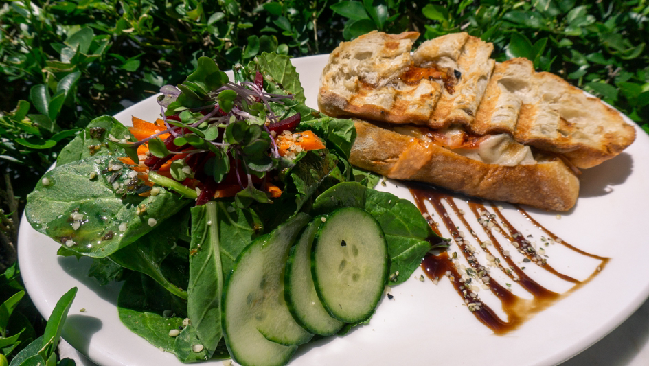 Cafe Nutrients | restaurant | 3080 Tamiami Trail N SUITE 1, Naples, FL 34103, USA | 2399198732 OR +1 239-919-8732