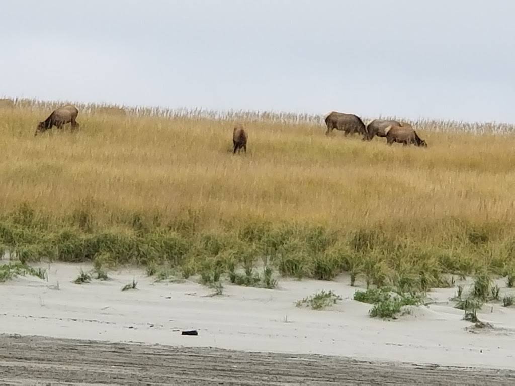 Gearhart Golf Links | restaurant | 1157 N Marion Ave, Gearhart, OR 97138, USA | 5037383538 OR +1 503-738-3538