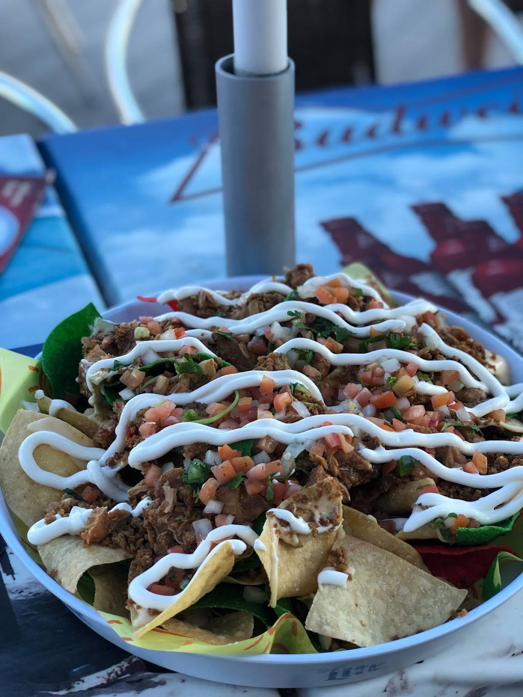 Coconuts Caribbean Beach Bar & Grill | restaurant | 15208 Red Hollow Rd, Gravois Mills, MO 65037, USA | 5733726500 OR +1 573-372-6500