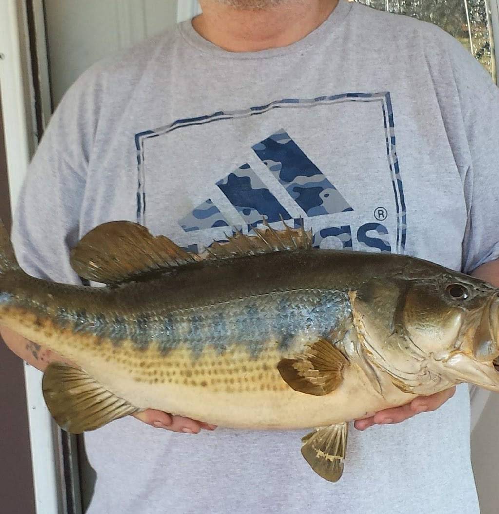 McDonalds | cafe | 2130 Lincoln Way E, Wooster, OH 44691, USA | 3302641551 OR +1 330-264-1551