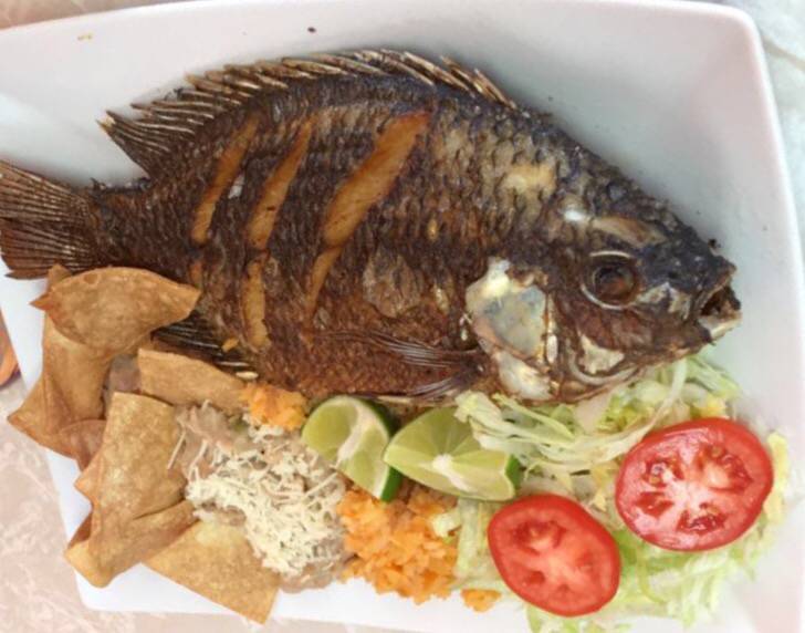 Charcoal Grill Chicken | restaurant | 18921 Soledad Canyon Rd, Canyon Country, CA 91351, USA | 6614954045 OR +1 661-495-4045