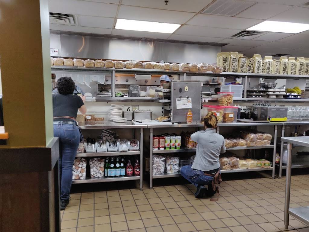 First Watch - Sunrise | restaurant | 12594 W Sunrise Blvd, Sunrise, FL 33323, USA | 9548461313 OR +1 954-846-1313