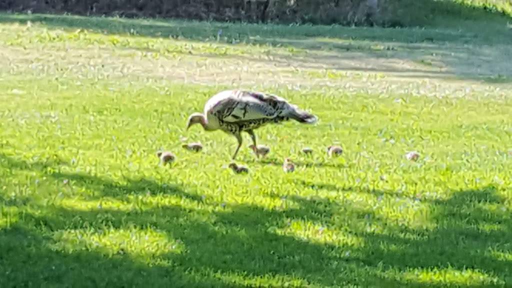 Haggin Oaks Golf Complex | restaurant | 3645 Fulton Ave, Sacramento, CA 95821, USA | 9164814653 OR +1 916-481-4653