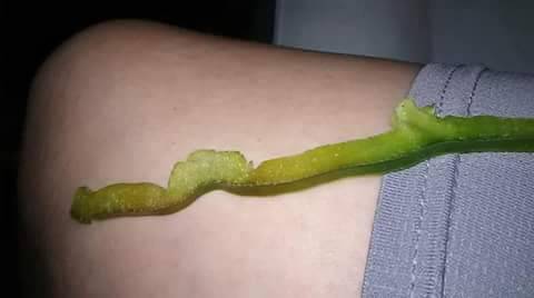 Waterville House of Pizza | restaurant | 145 Main St, Waterville, ME 04901, USA | 2078734300 OR +1 207-873-4300