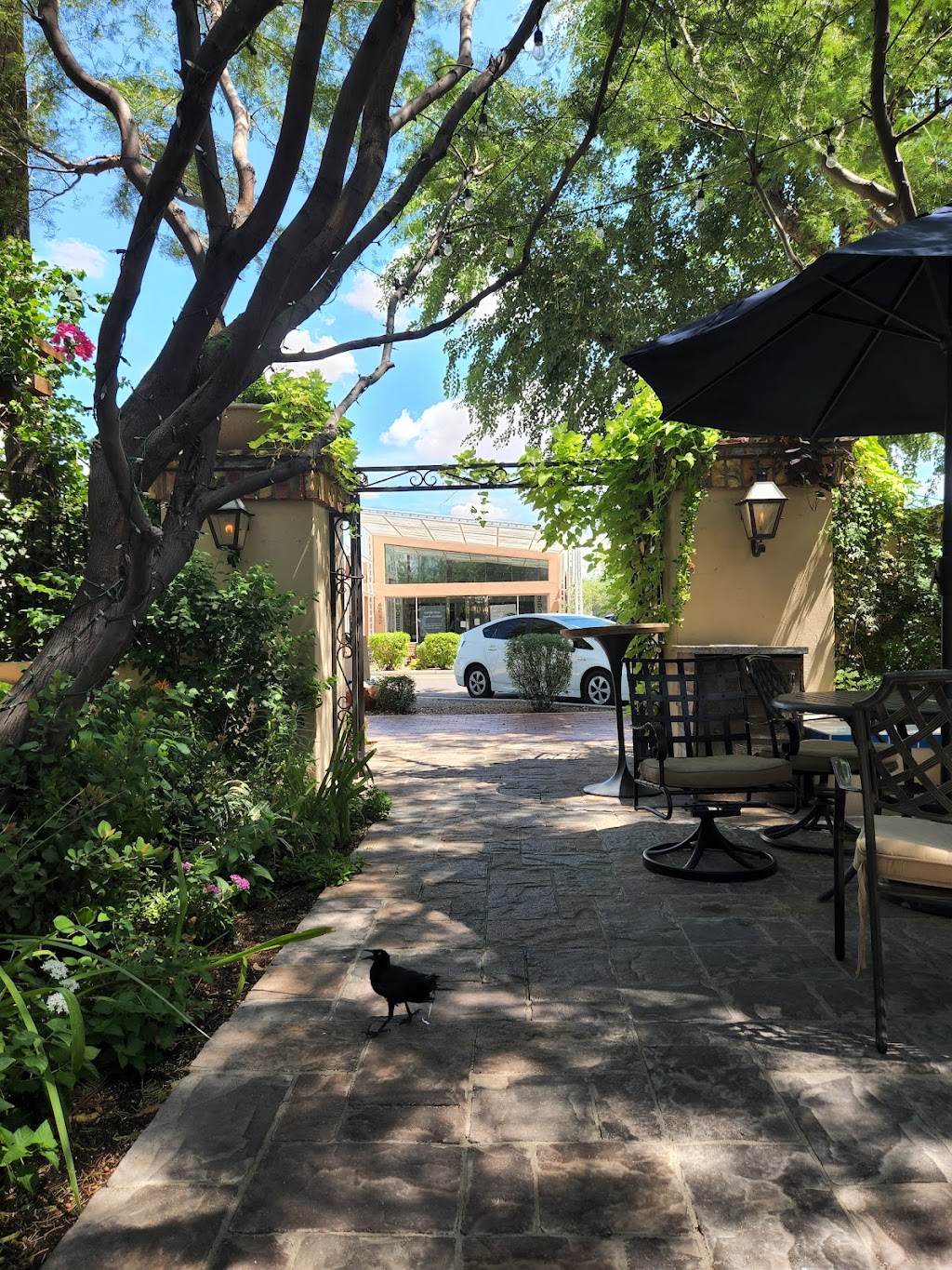 Schmooze | restaurant | 4222 N Marshall Way, Scottsdale, AZ 85251, USA | 4809992822 OR +1 480-999-2822