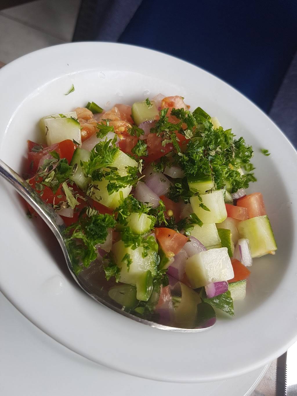 Darbar Persian Grill | restaurant | 2015 Avenue Rd, North York, ON M5M 4A5, Canada | 6473514242 OR +1 647-351-4242