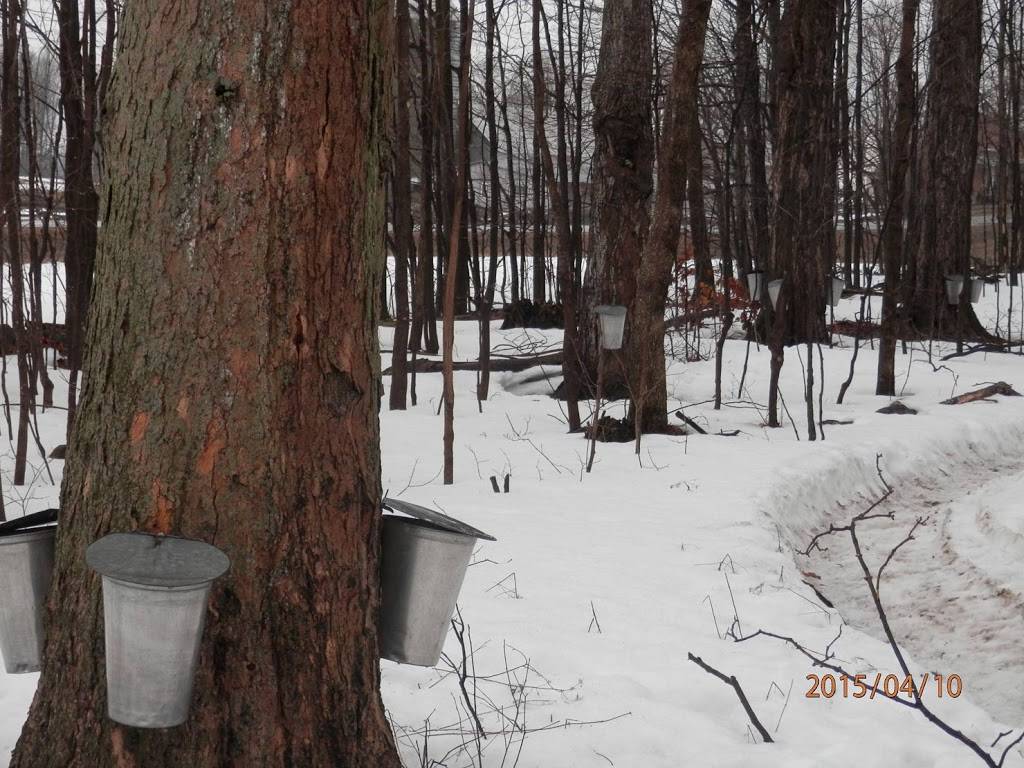 La Sucrerie Huot - sirop erable et sous produits SUR RENDEZ-VOUS | restaurant | 11910 Côte des Saints, Mirabel, QC J7N 2W1, Canada | 4504725950 OR +1 450-472-5950