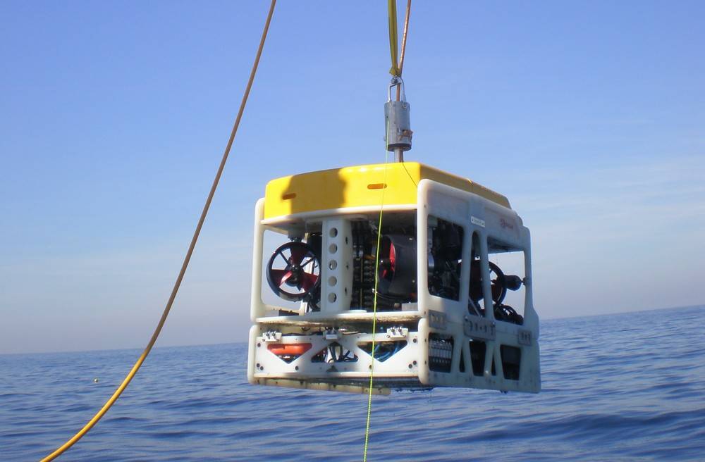 DAS Ocean | restaurant | 8500 Cypresswood Dr, Houston, TX 77070, USA | 7132545770 OR +1 713-254-5770