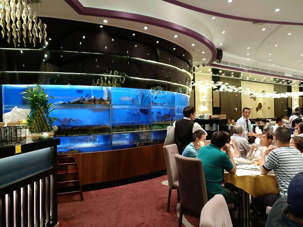 美食坊Fusion Delight | restaurant | 699 Lewelling Blvd #212, San Leandro, CA 94579, USA | 5108951818 OR +1 510-895-1818