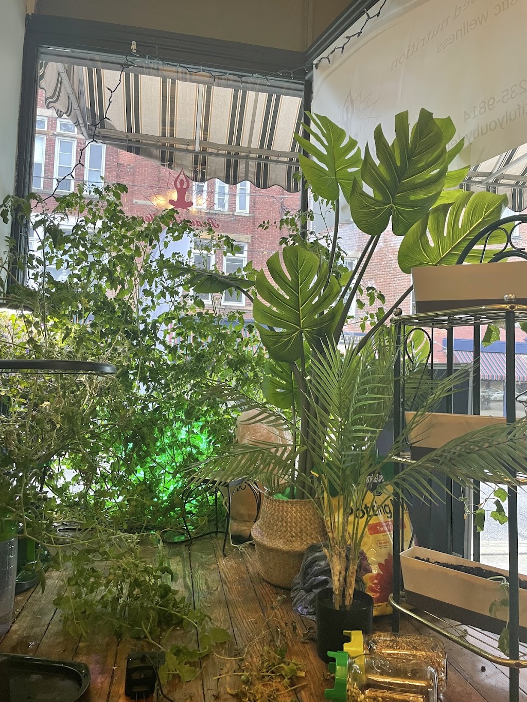 Beautiful YOU by Denise | restaurant | 107 N Prospect St, Ravenna, OH 44266, USA | 3302359814 OR +1 330-235-9814