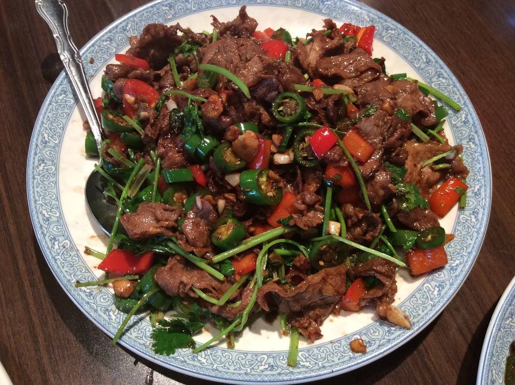 Hunan Bistro | restaurant | 9889 Bellaire Blvd, Houston, TX 77036, USA | 8329918609 OR +1 832-991-8609