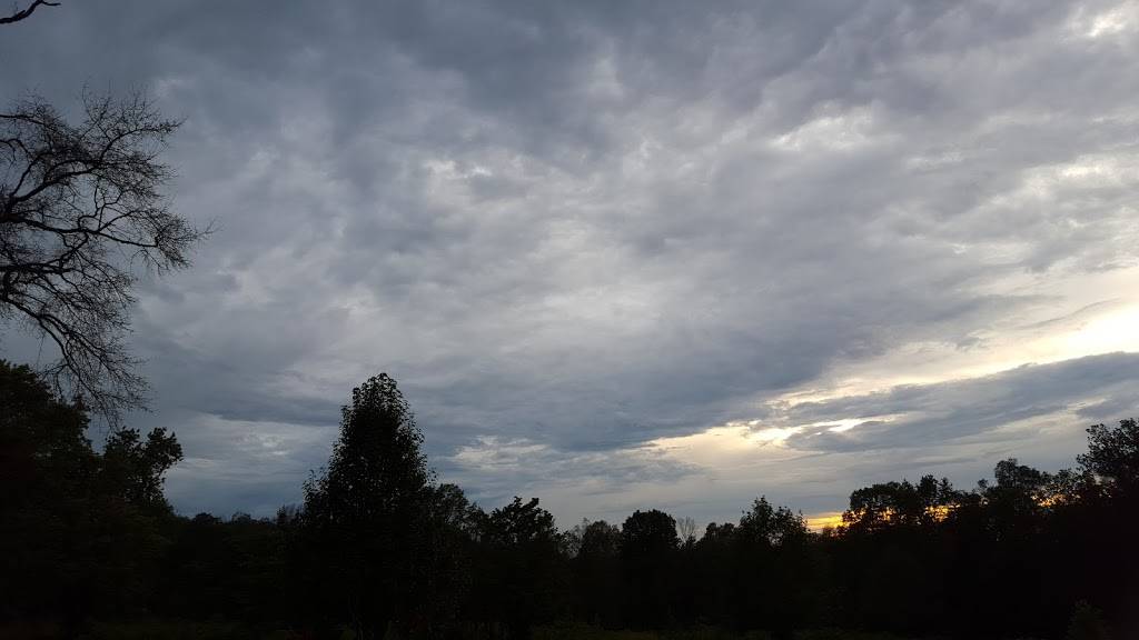 Snead Country Cafe | restaurant | 87793 US-278, Snead, AL 35952, USA | 2054663011 OR +1 205-466-3011