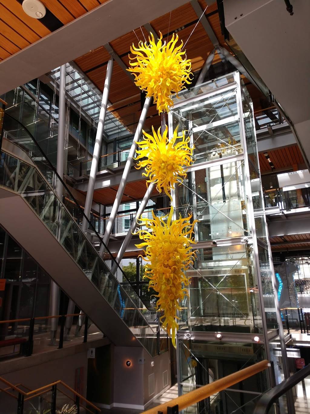 Cielo Cocina Mexicana | restaurant | 958 111th Ave NE #101, Bellevue, WA 98004, USA | 4254498869 OR +1 425-449-8869