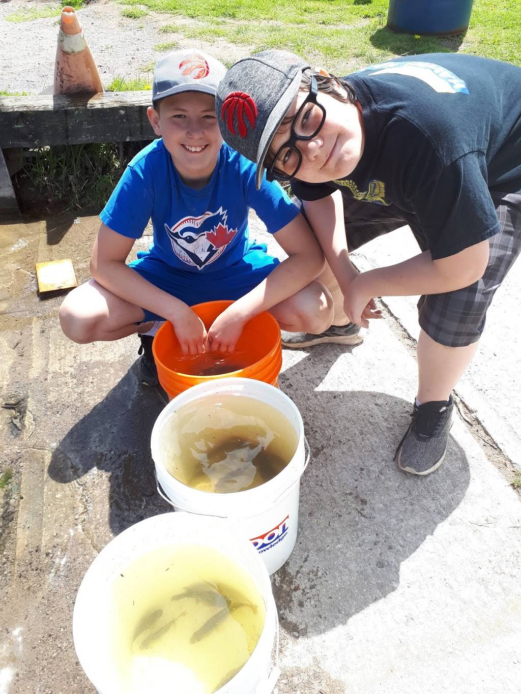 Bills Pizza House | restaurant | 3 King St E, Omemee, ON K0L 2W0, Canada | 7057997676 OR +1 705-799-7676