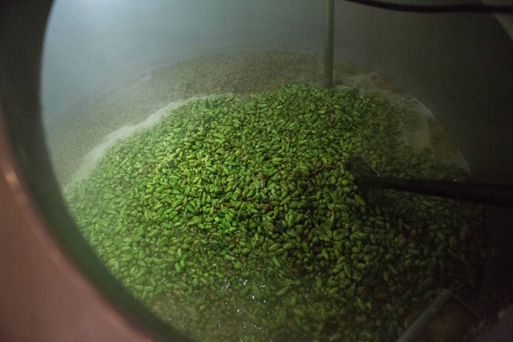 McMenamins Concordia Brewery | restaurant | 5736 Northeast 33rd Avenue Brewery, Portland, OR 97211, USA | 5032497459 OR +1 503-249-7459