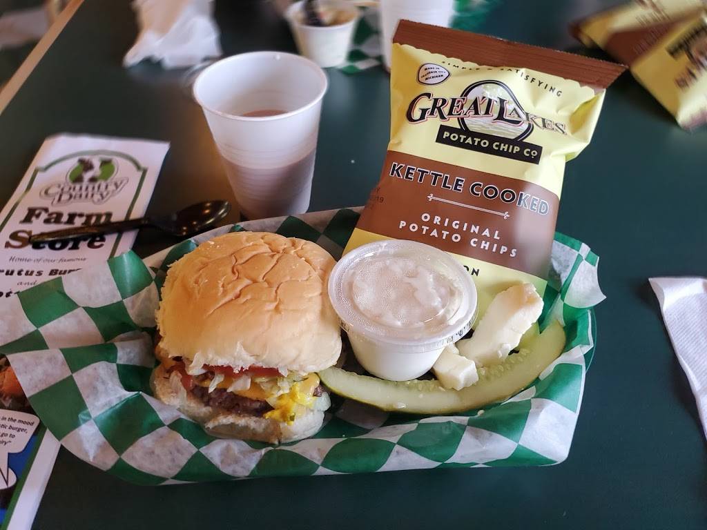 Country Dairy Farm Store | restaurant | 3476 S 80th Ave, New Era, MI 49446, USA | 2318614636 OR +1 231-861-4636