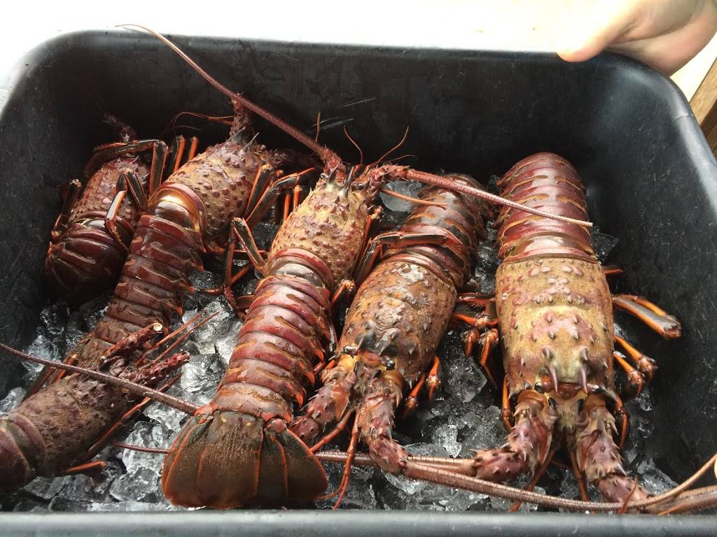 Siete Mares | restaurant | Paseo del Mar, El Paraíso, Puerto Nuevo, B.C., Mexico | 016616140486 OR +52 661 614 0486