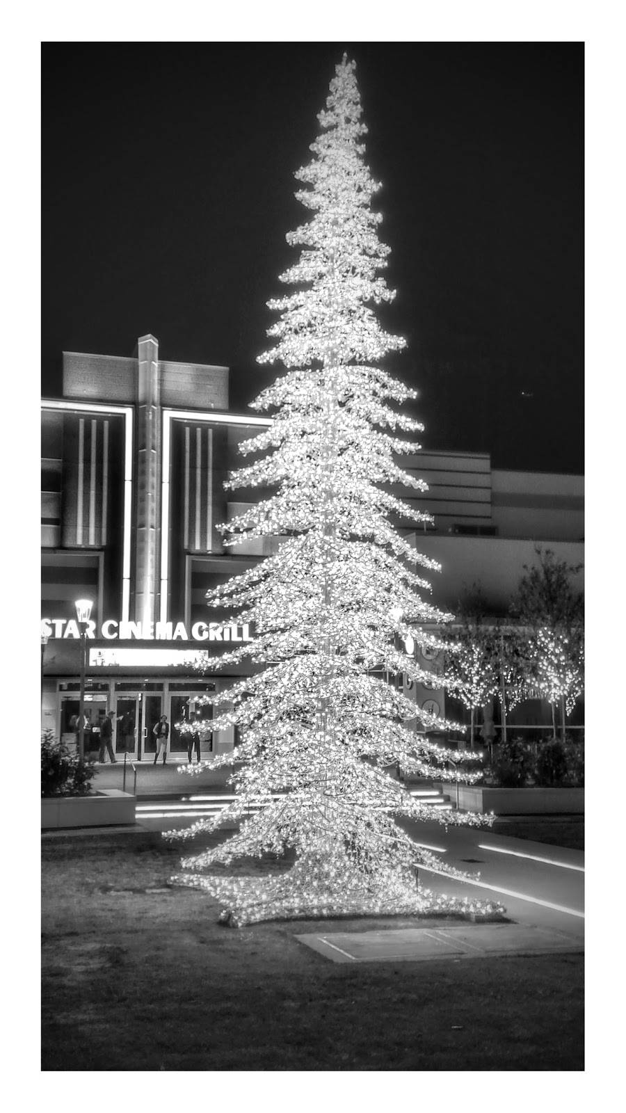 Star Cinema Grill | restaurant | 702 Baybrook Mall, Friendswood, TX 77546, USA | 2815579300 OR +1 281-557-9300