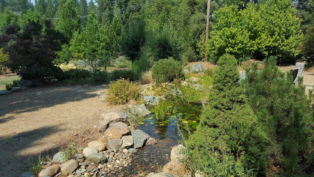 Sierra Banquet Center Inc. & Log Cabin Cafe | restaurant | 3220 Pondorado Rd, Camino, CA 95709, USA | 5306440345 OR +1 530-644-0345