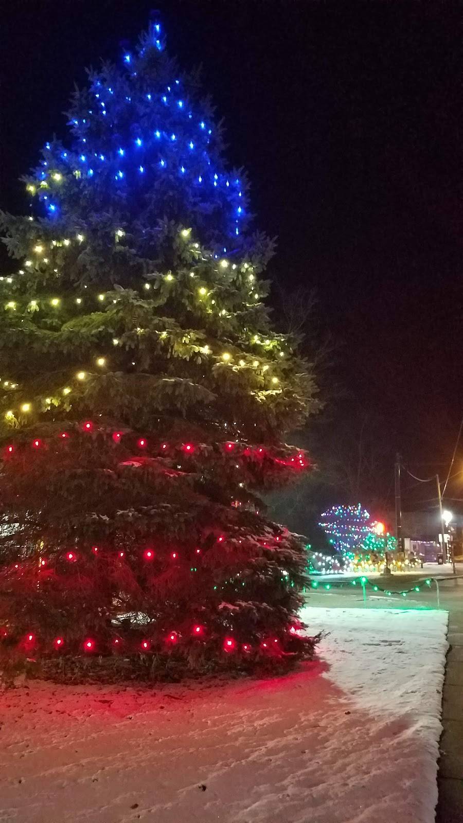 East of Chicago | restaurant | 11 W Main St, Lexington, OH 44904, USA | 4198849896 OR +1 419-884-9896