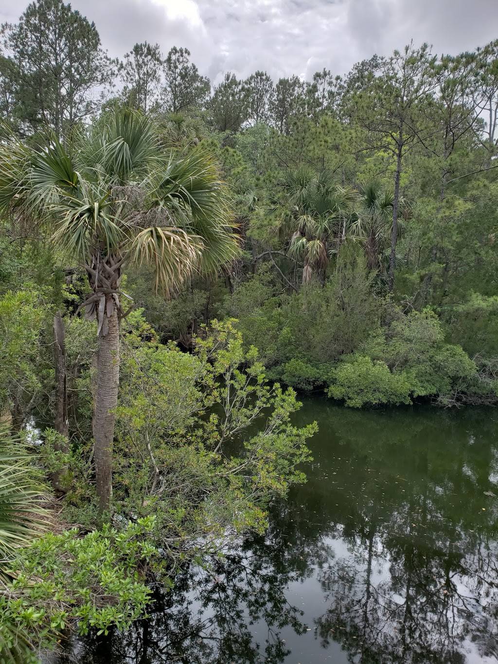 Palmetto Islands County Park | meal takeaway | 444 Needlerush Pkwy, Mt Pleasant, SC 29464, USA | 8437954386 OR +1 843-795-4386