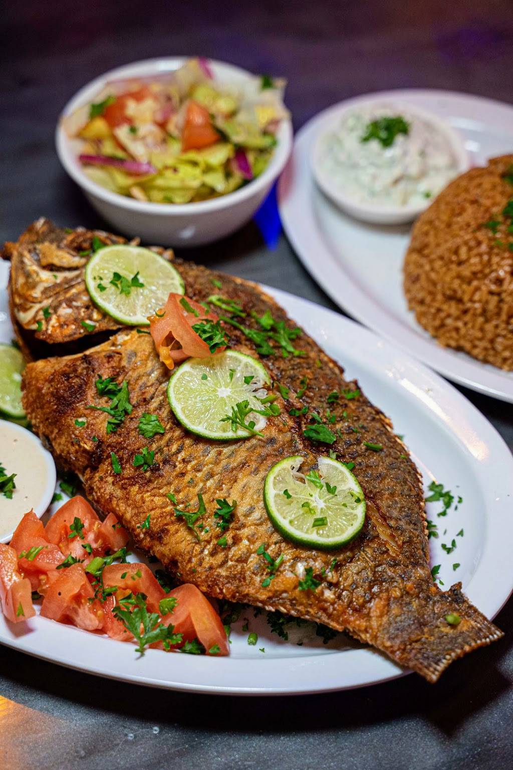 Titos Egyptian Mediterranean Halal Grill | restaurant | 811 Mason Rd #148, Katy, TX 77450, USA | 2817174339 OR +1 281-717-4339
