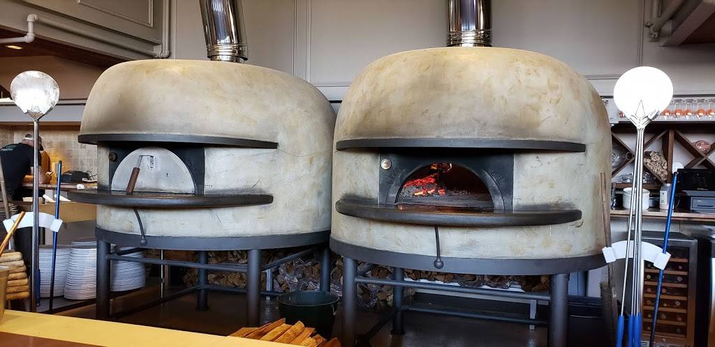 Nolo | restaurant | 687 State St, New Haven, CT 06511, USA | 2038917704 OR +1 203-891-7704