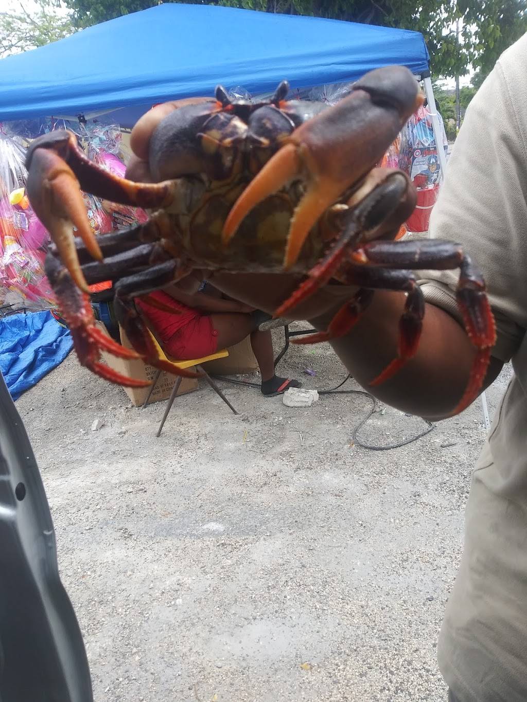 Mandarin Village | restaurant | 8952 Cleary Blvd, Plantation, FL 33324, USA | 9546930998 OR +1 954-693-0998