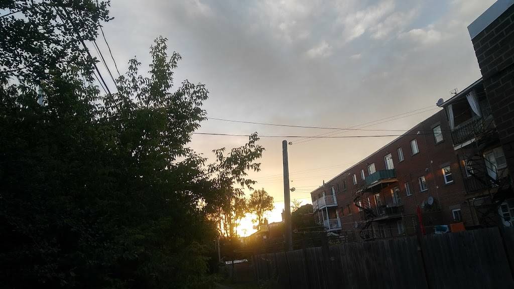 Brasserie Cannebière 1986 Inc | restaurant | 4975 Rue Beaubien E, Montréal, QC H1T 1V3, Canada | 5147293442 OR +1 514-729-3442