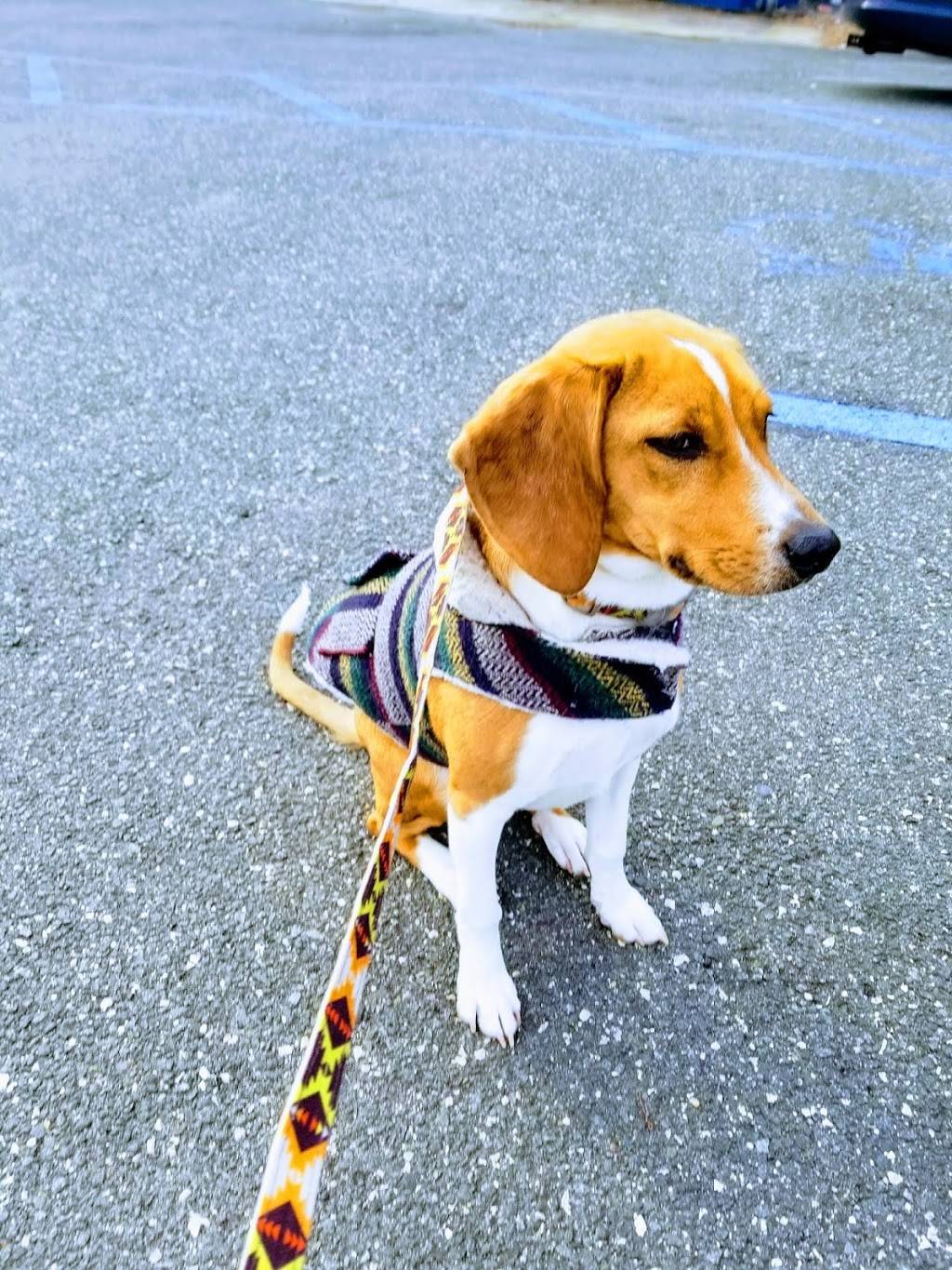 J & P Seafood | meal takeaway | 4820 Spruce St, Philadelphia, PA 19143, USA | 2154748600 OR +1 215-474-8600