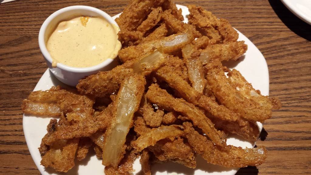 Outback Steakhouse | restaurant | 10918 N Dale Mabry Hwy, Tampa, FL 33618, USA | 8139694329 OR +1 813-969-4329