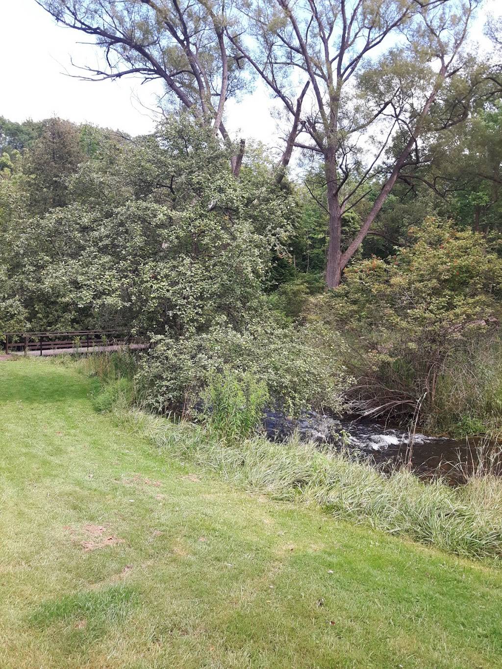 Megan & Robs Burger Box | restaurant | 130 Elora St, Mildmay, ON N0G 2J0, Canada | 5193675430 OR +1 519-367-5430