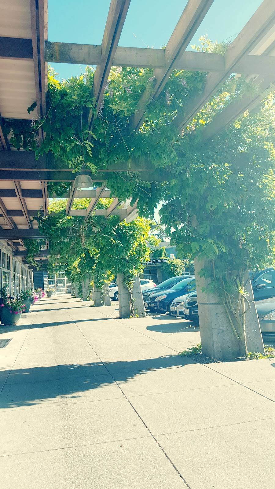 Little Caesars Pizza | meal takeaway | 18336 Aurora Ave N, Shoreline, WA 98133, USA | 2068017656 OR +1 206-801-7656