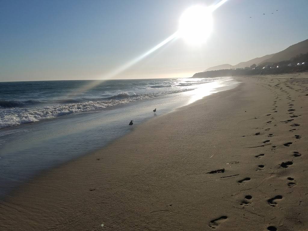 Neptunes Net | restaurant | 42505 CA-1, Malibu, CA 90265, USA | 3104573095 OR +1 310-457-3095