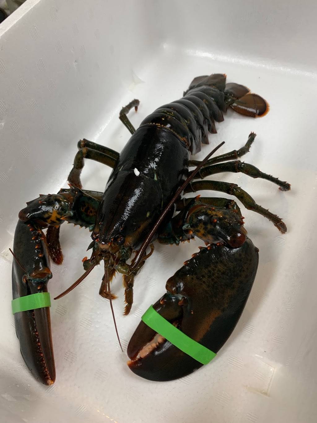 Izakaya mayumi | restaurant | 2221 Clement St, San Francisco, CA 94121, USA | 4157424159 OR +1 415-742-4159