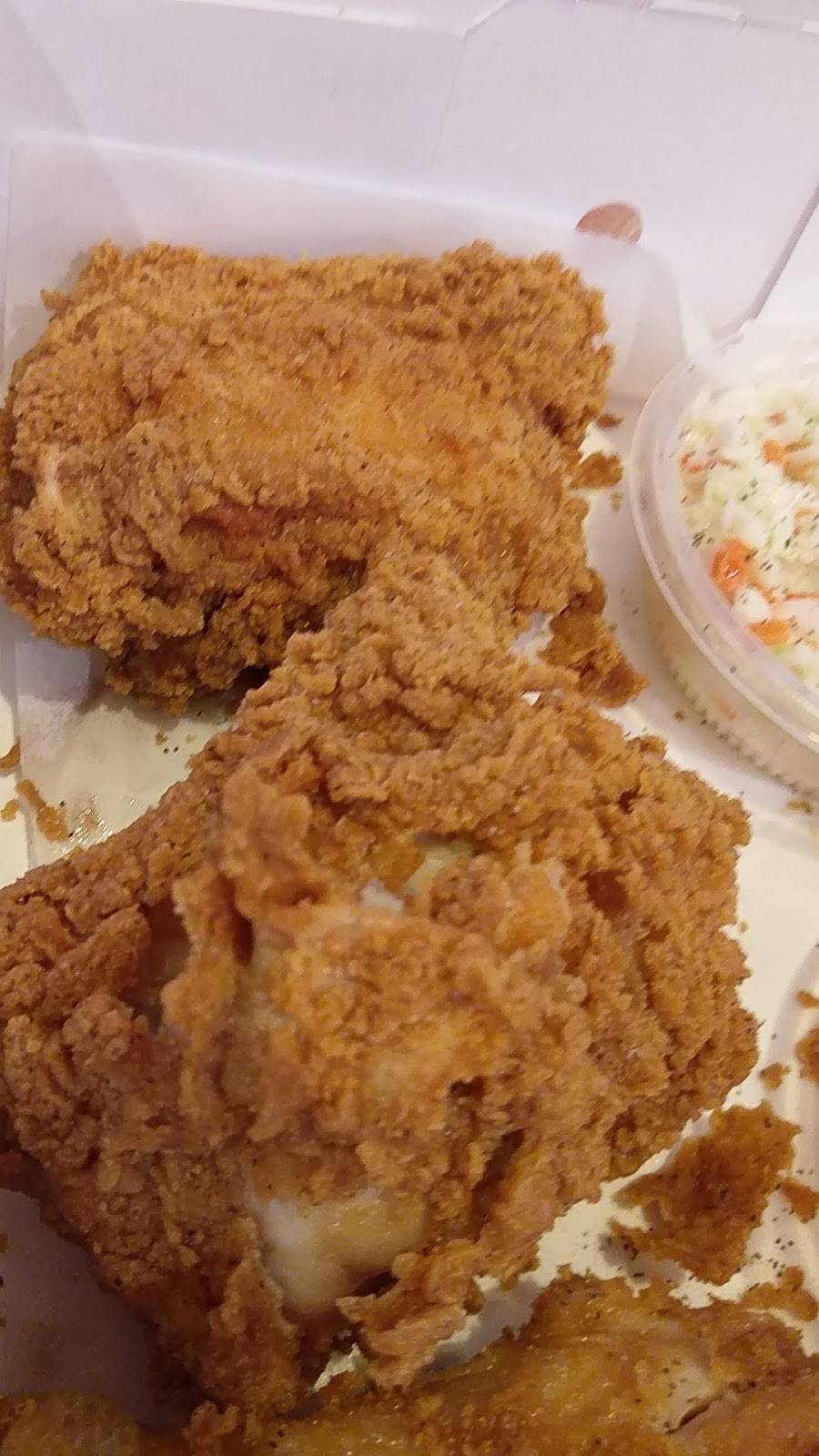 KFC | restaurant | 199 W Ocean View Ave, Norfolk, VA 23503, USA | 7575888604 OR +1 757-588-8604