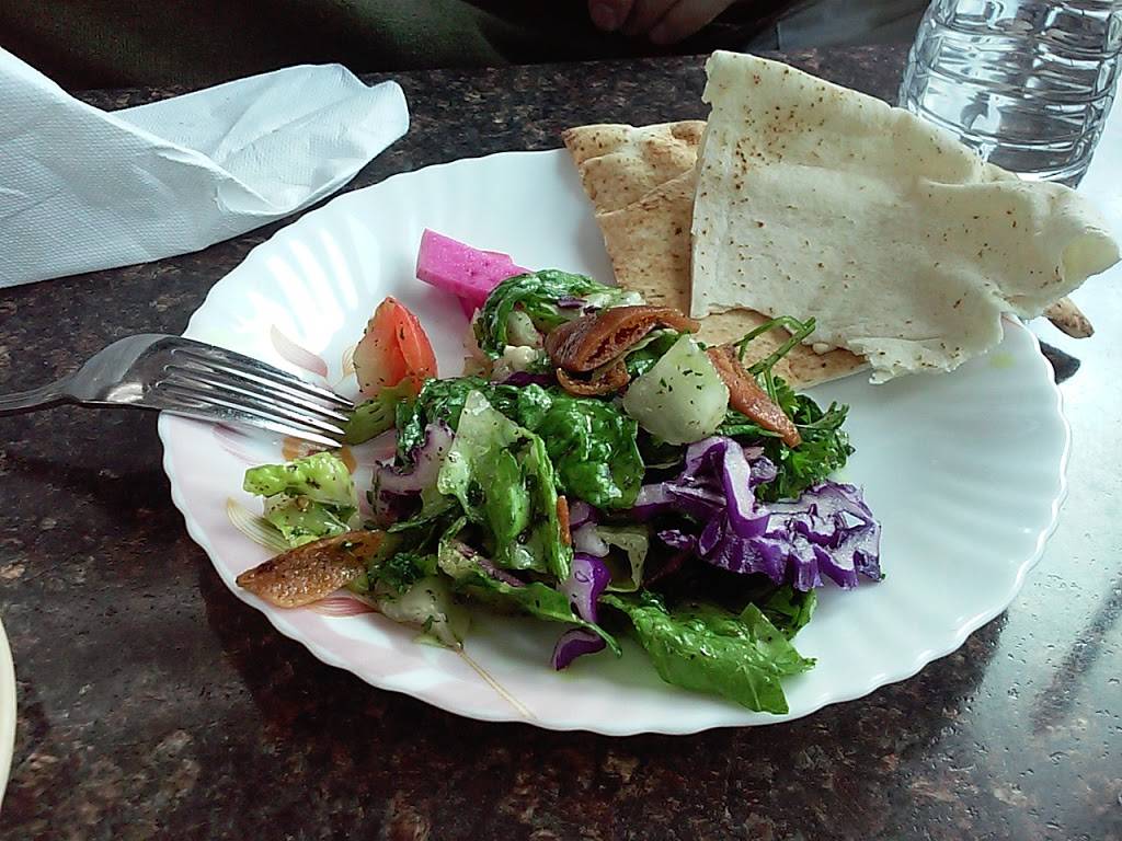 Hamido | restaurant | 13251 W Warren Ave, Dearborn, MI 48126, USA | 3135820660 OR +1 313-582-0660