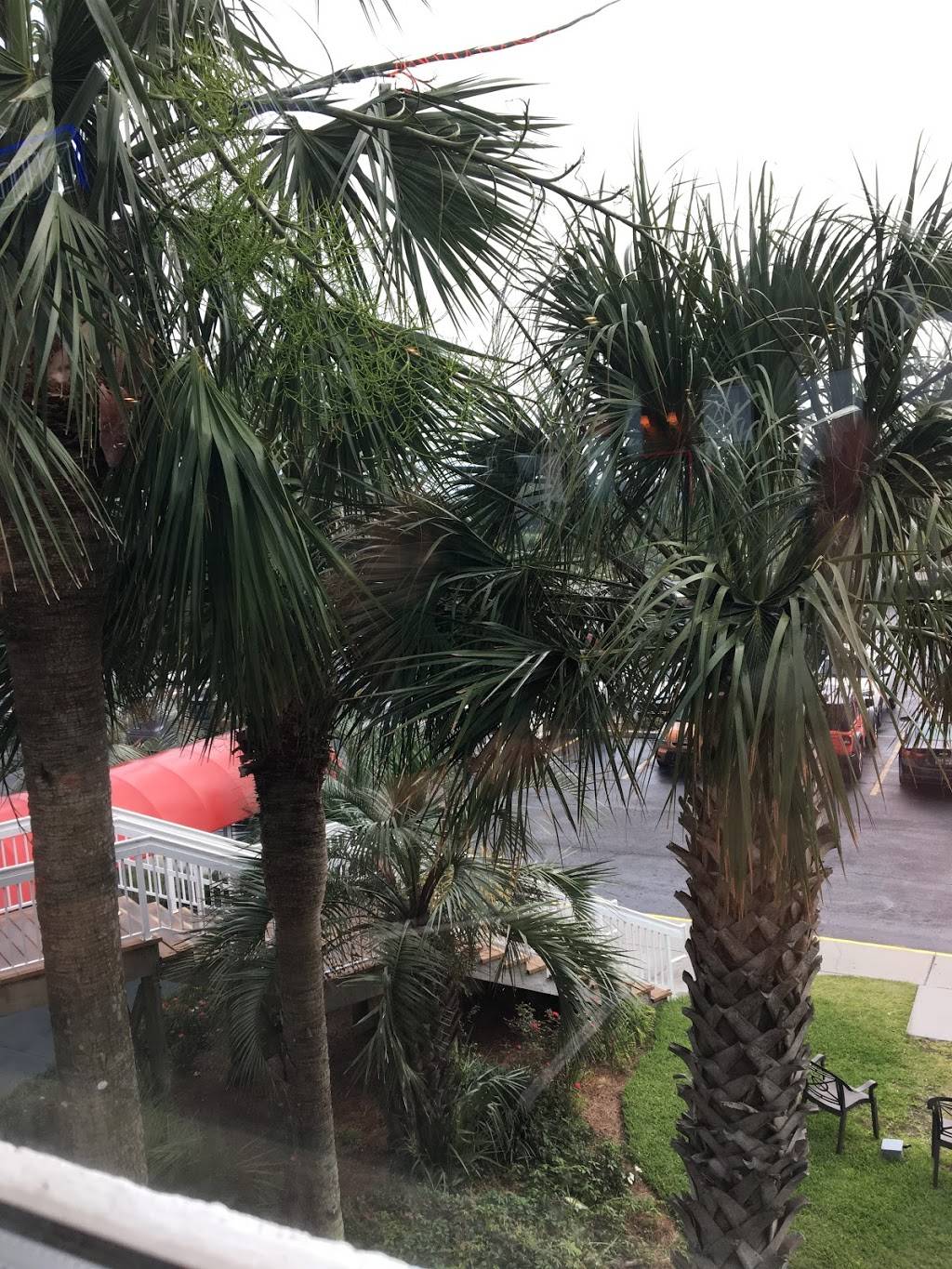 Damon’s Grill | restaurant | 2985 S Ocean Blvd, Myrtle Beach, SC 29577, USA | 8436268000 OR +1 843-626-8000