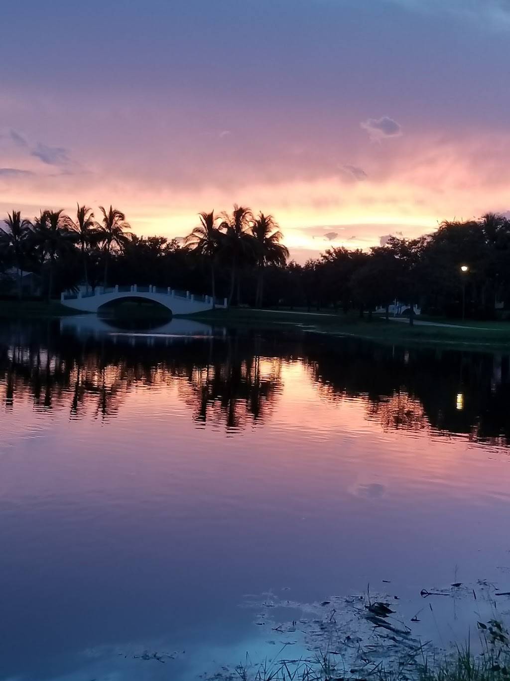 Island Walk Cafe & Restaurant | restaurant | 6175 Towncenter Cir # 201, Naples, FL 34119, USA | 2395925055 OR +1 239-592-5055