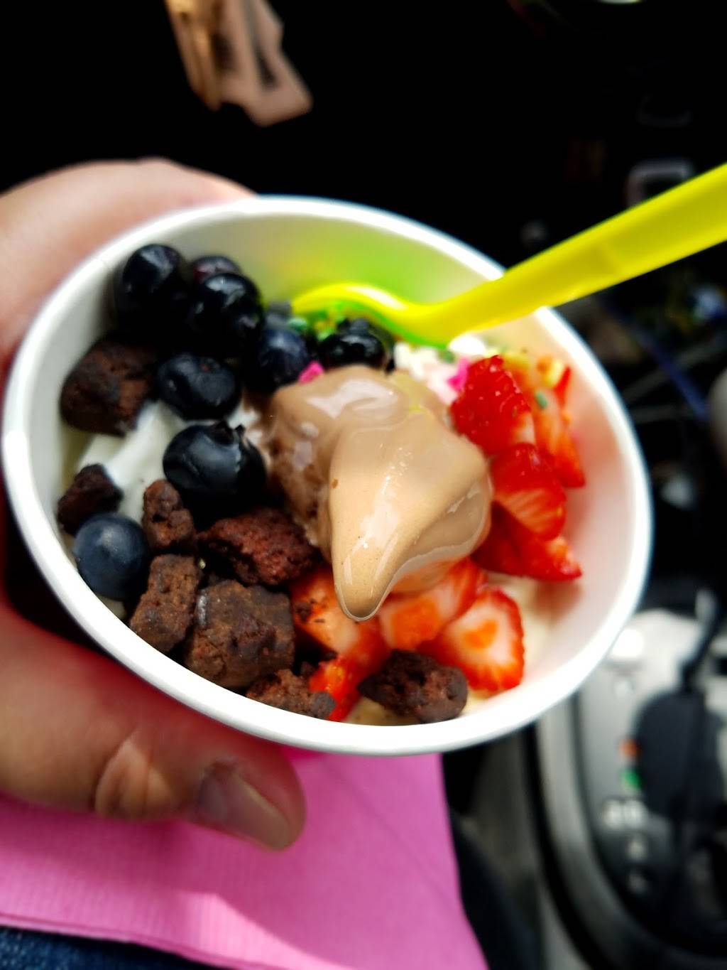 Froyo Factory | restaurant | 106 S Market St, Monticello, IL 61856, USA | 2177622233 OR +1 217-762-2233