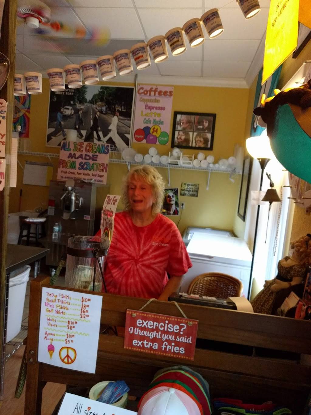 Mystic Ice Cream | restaurant | 1217 W Miller St, Fruitland Park, FL 34731, USA | 3528010411 OR +1 352-801-0411