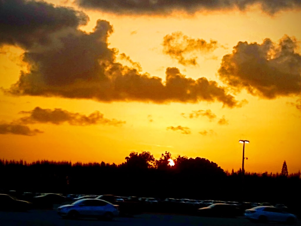 PBKC | restaurant | 1111 N Congress Ave, West Palm Beach, FL 33409, USA | 5616832222 OR +1 561-683-2222