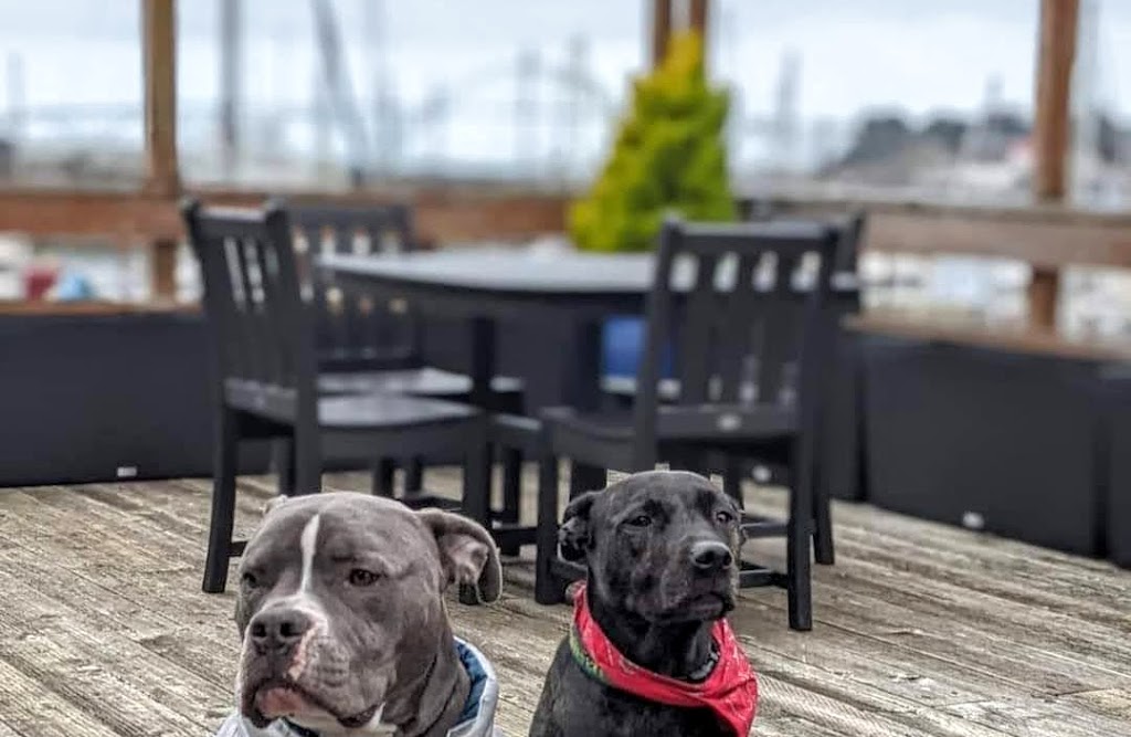 Jack Sprats Bayfront | restaurant | 1000 SE Bay Blvd., Newport, OR 97365, USA | 5413517696 OR +1 541-351-7696