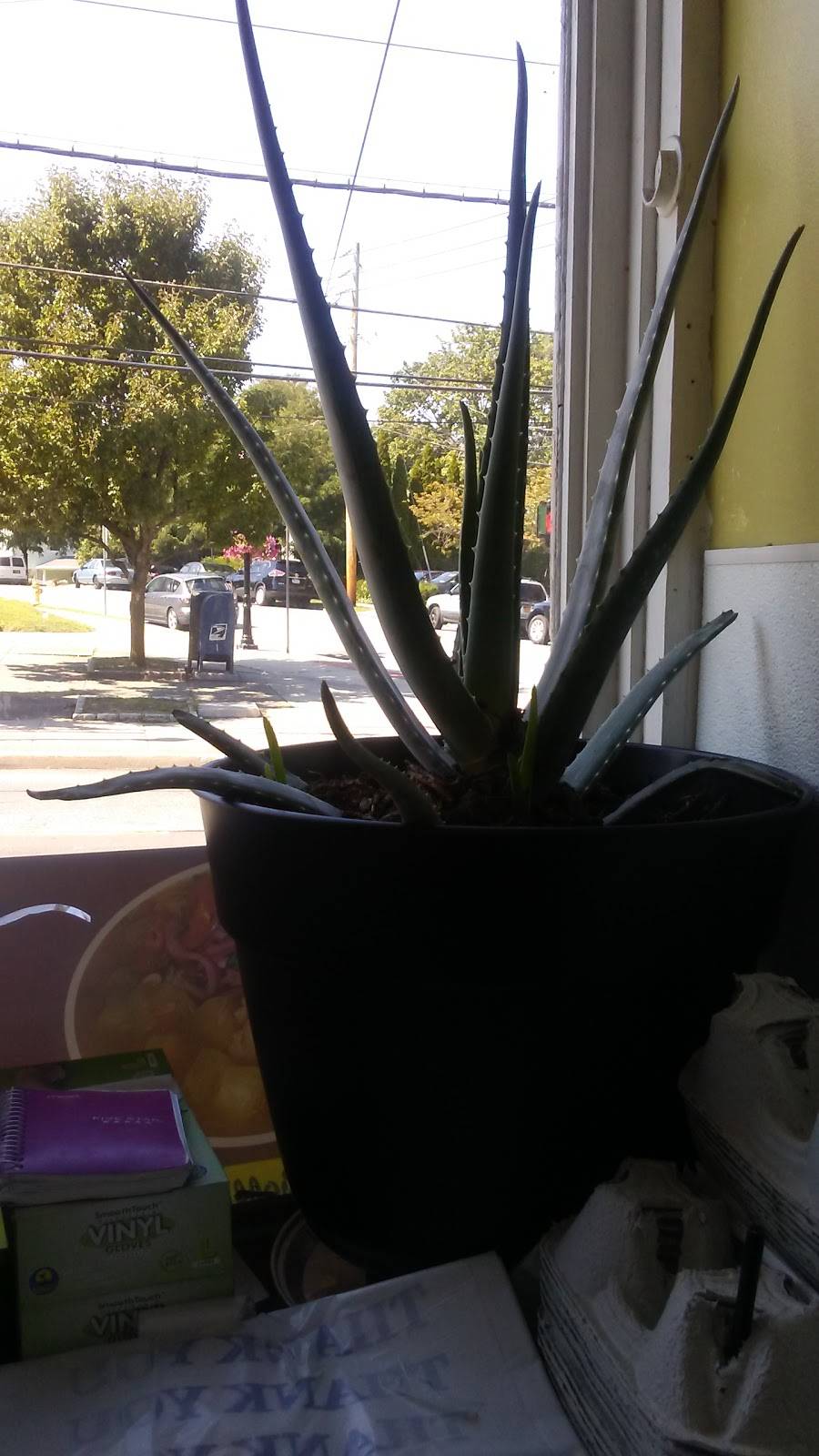 Tierras Tropicales | restaurant | 84 Croton Ave, Ossining, NY 10562, USA | 9149449314 OR +1 914-944-9314