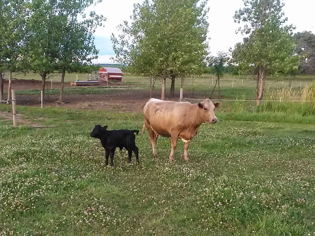 BP Farms, LLC | restaurant | 6300 N Rea Rd, Dundee, MI 48131, USA | 7344304261 OR +1 734-430-4261