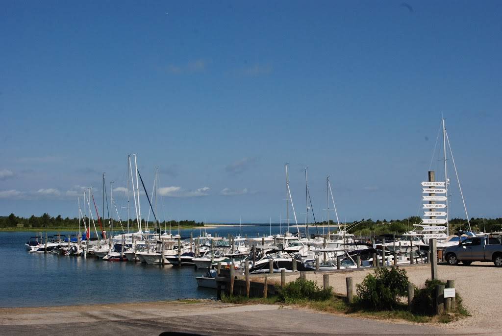 Harbor Marina of East Hampton | restaurant | 423 Three Mile Harbor Hog Creek Rd, 39 Gann Rd, East Hampton, NY 11937, USA | 6313245666 OR +1 631-324-5666