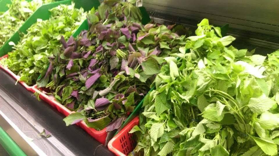 Thuan Phat | restaurant | 9200 Bolsa Ave, Westminster, CA 92683, USA | 7149019882 OR +1 714-901-9882