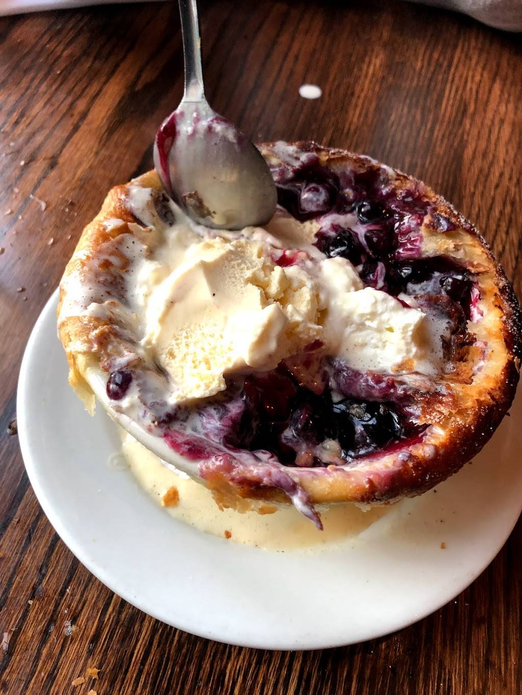 The Dogwood | restaurant | 3712 Washington St, Jamaica Plain, MA 02130, USA | 6175227997 OR +1 617-522-7997