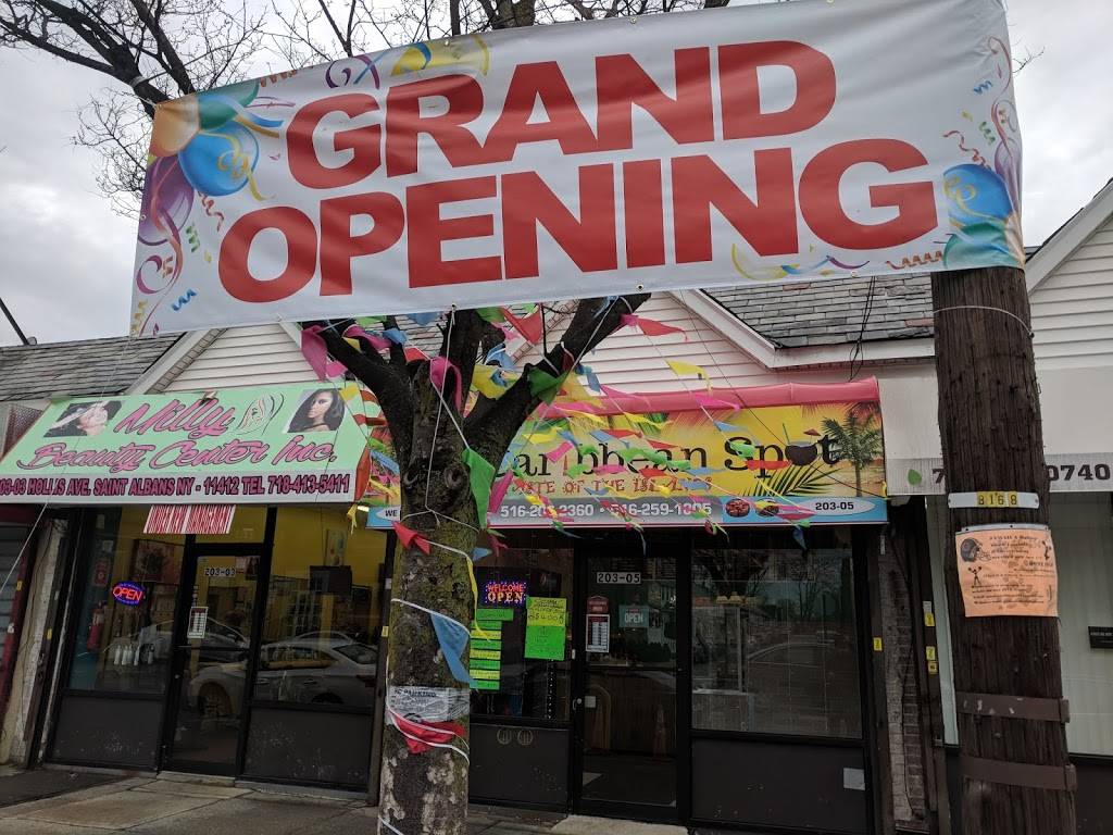 The Caribbean Spot | restaurant | 203-05 Hollis Ave, St. Albans, NY 11412, USA | 7184813003 OR +1 718-481-3003