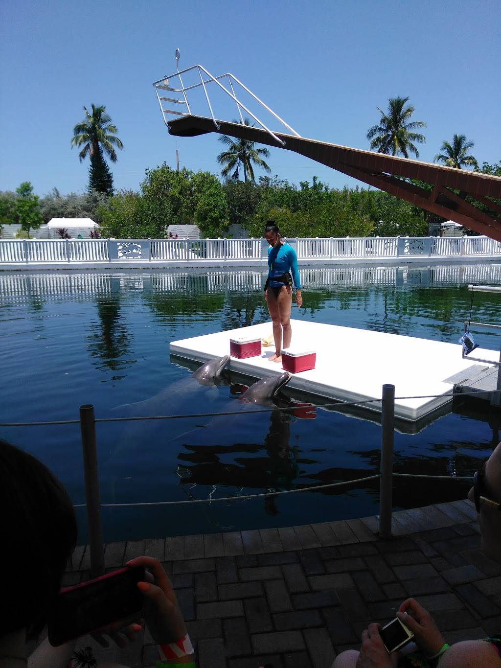 Bistro By the Sea | restaurant | 364 Cards Pond Rd, Wakefield, RI 02879, USA | 4017893030 OR +1 401-789-3030